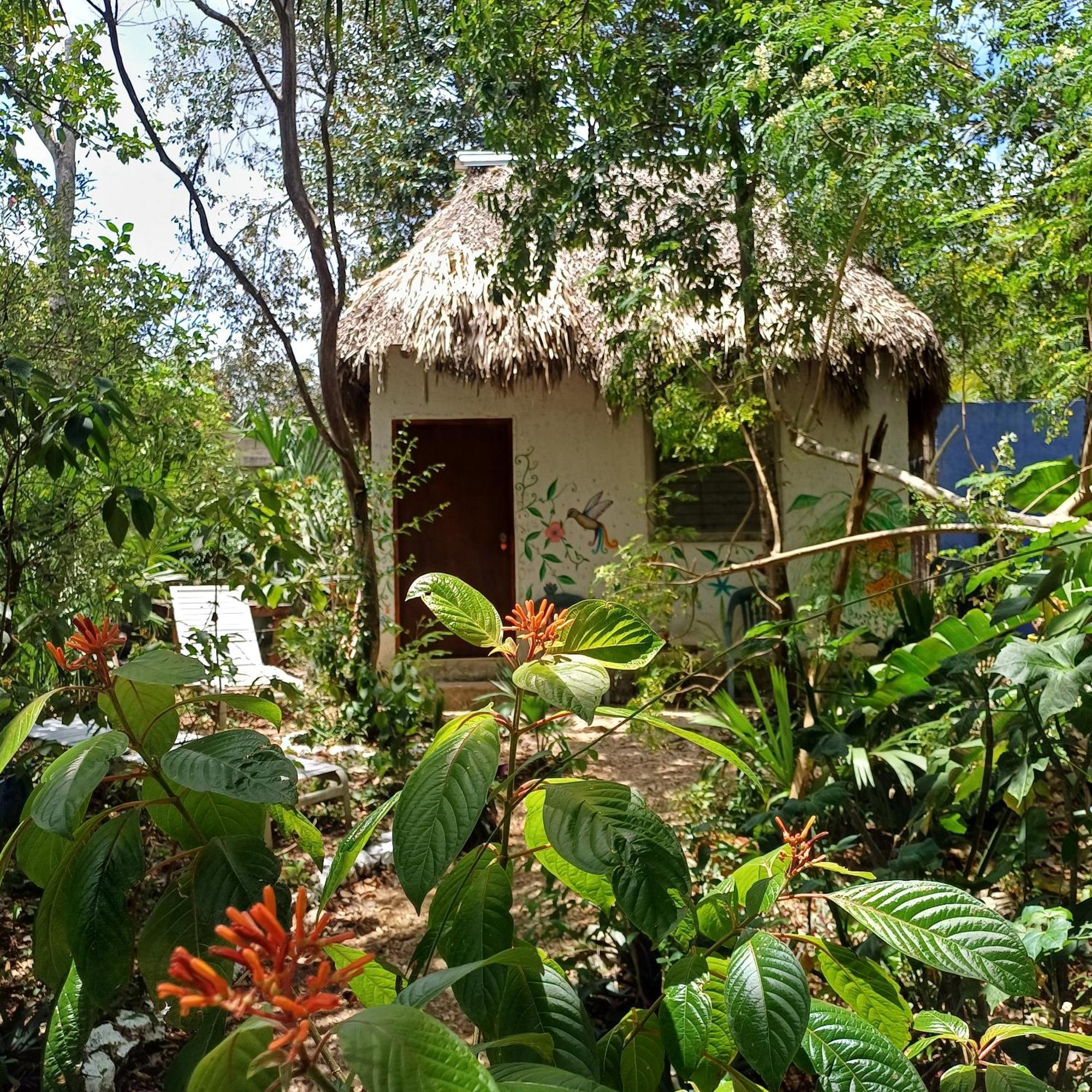 Mayan Bungalow Near Chichen エクステリア 写真