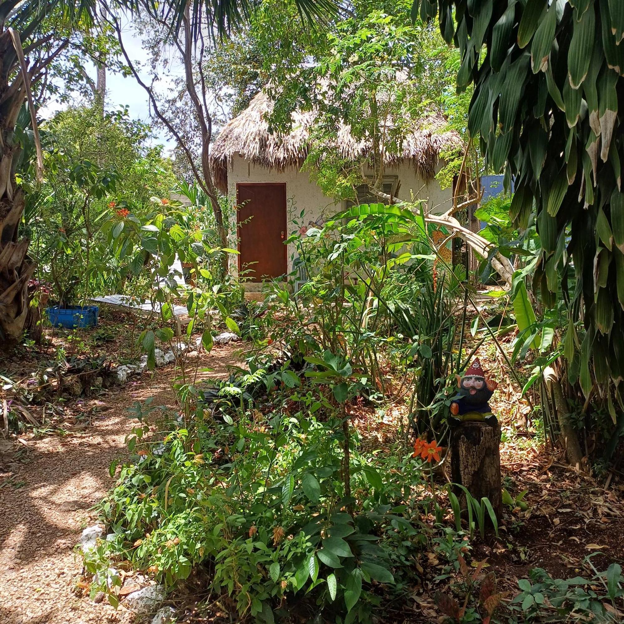Mayan Bungalow Near Chichen エクステリア 写真