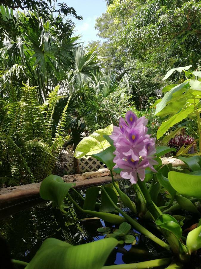 Mayan Bungalow Near Chichen エクステリア 写真