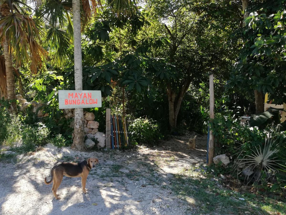 Mayan Bungalow Near Chichen エクステリア 写真